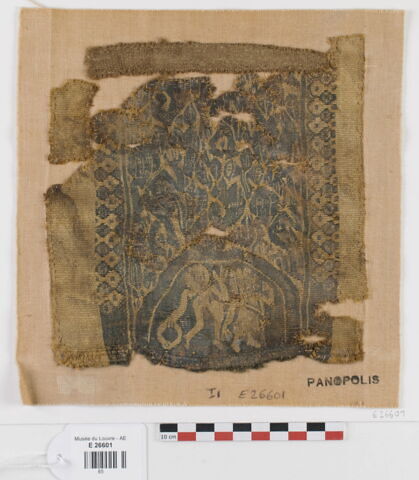 clavus ; fragment