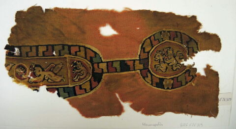 clavus ; fragment, image 2/2