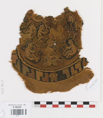 orbiculus ; fragment