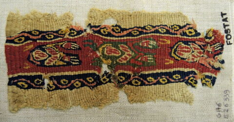 clavus ; fragment, image 2/2