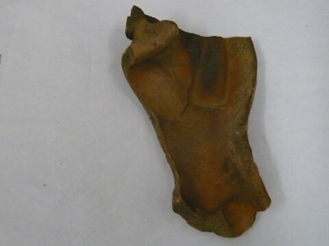 moule  ; fragment, image 2/3