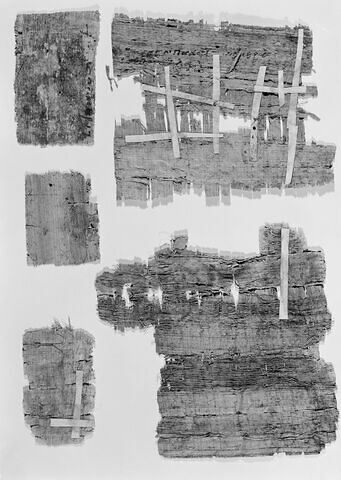 papyrus documentaire, image 4/4