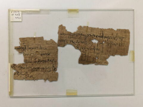 papyrus documentaire, image 2/2