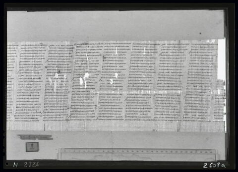 papyrus littéraire ; papyrus documentaire, image 4/6