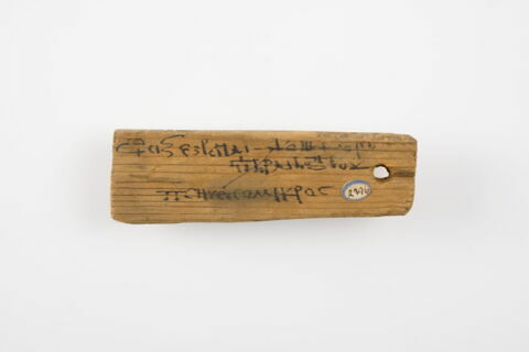 étiquette de momie rectangulaire