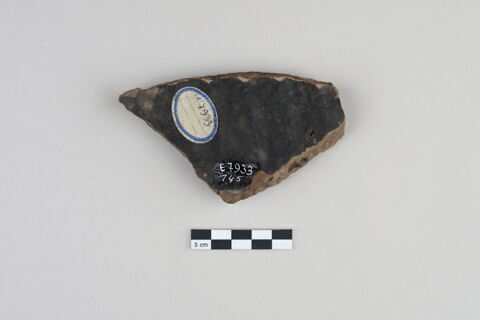 ostracon, image 2/3