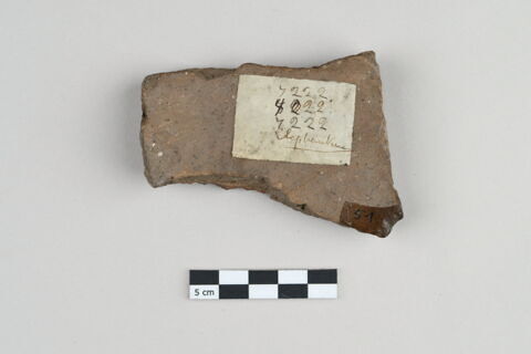 ostracon, image 2/3