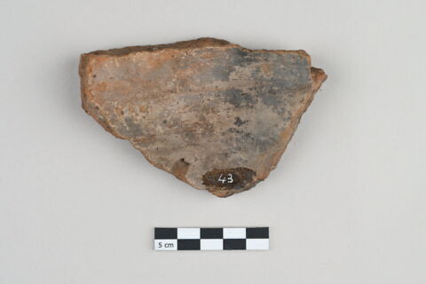 ostracon, image 2/3
