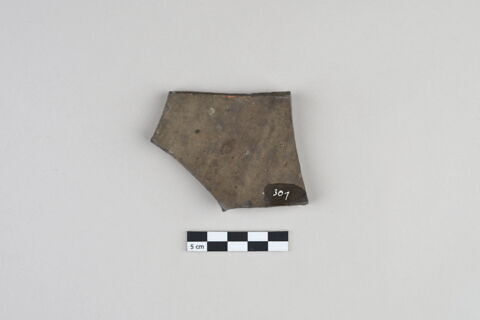 ostracon, image 2/3