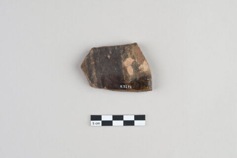 ostracon, image 2/3