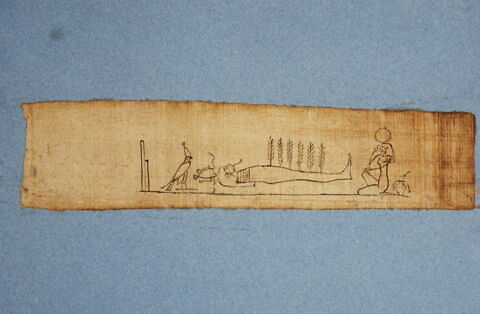 papyrus