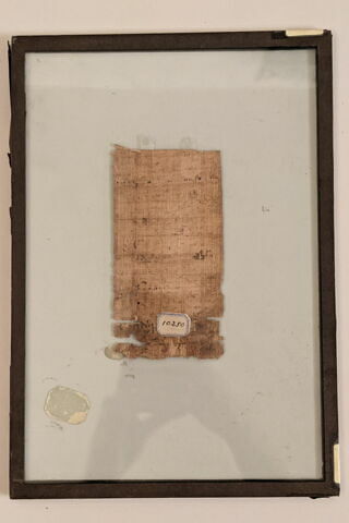 papyrus documentaire, image 2/2
