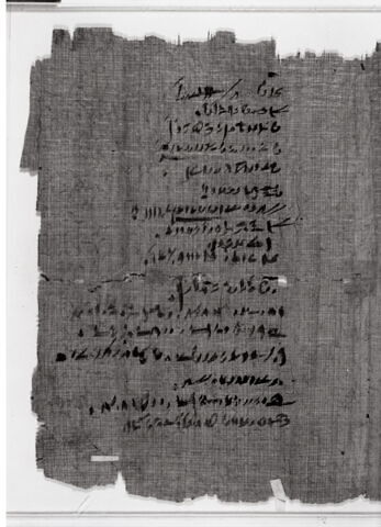 papyrus documentaire, image 4/6