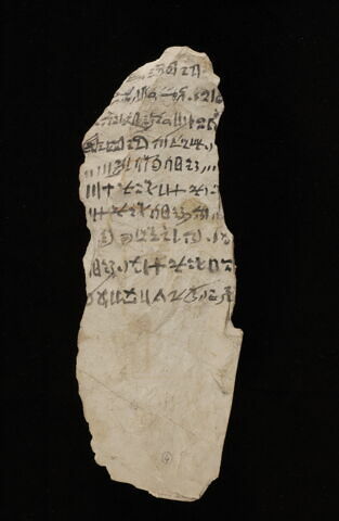 ostracon, image 2/2