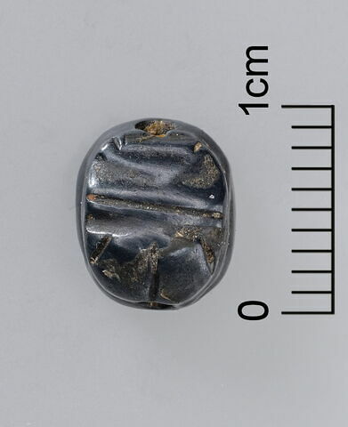 scarabée, image 2/3