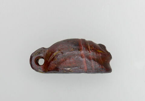 scarabée, image 2/3