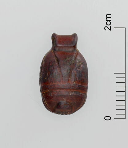 scarabée, image 3/3