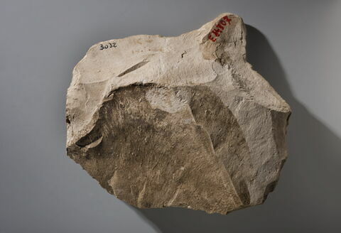 ostracon figuré, image 2/4