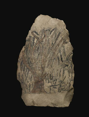 ostracon figuré, image 2/3