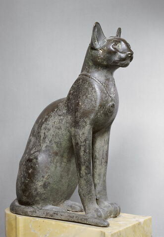 cercueil de chat, image 8/8