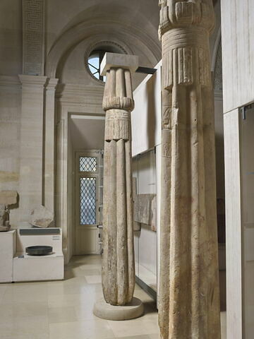 colonne papyriforme fasciculée, image 8/8