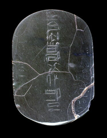 scarabée de cœur, image 2/8