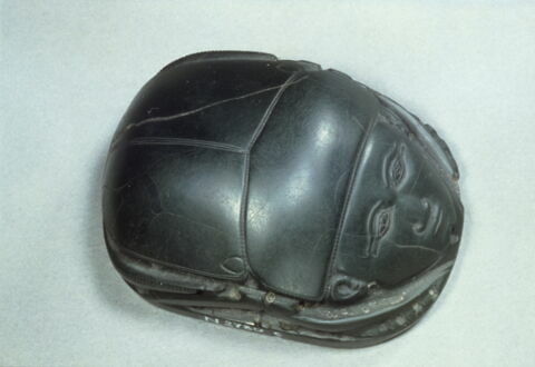 scarabée de cœur, image 8/8