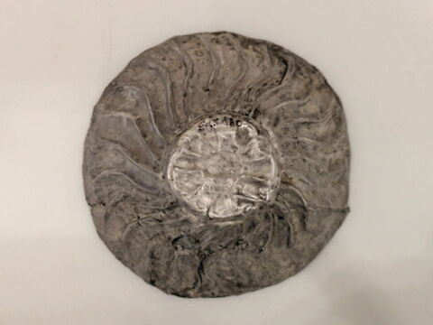 bol ; coupe, image 2/6