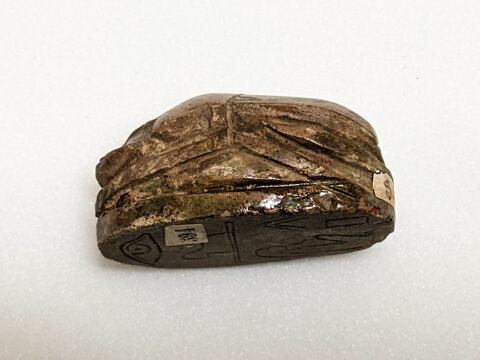scarabée de cœur, image 4/6