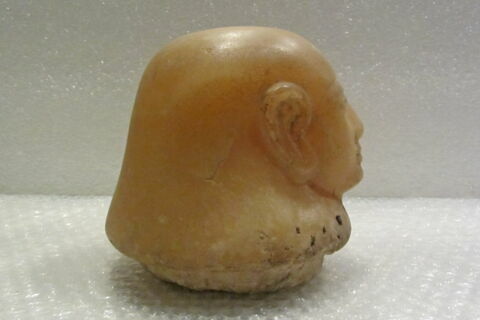 couvercle de vase canope, image 3/5