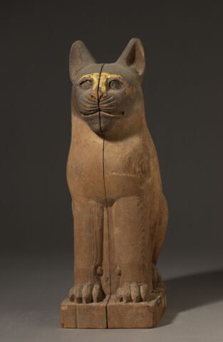 cercueil de chat