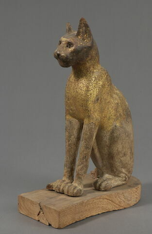 cercueil de chat