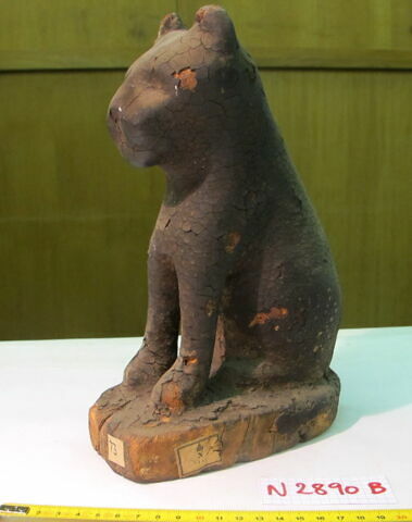 cercueil de chat ; momie de chat