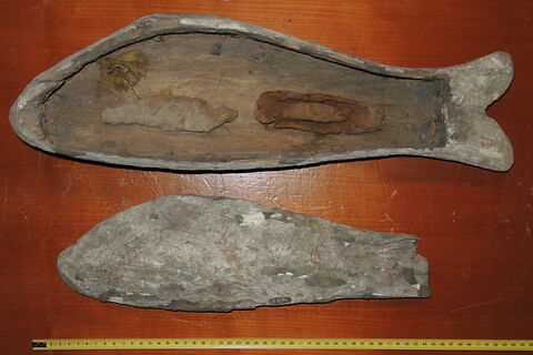 cercueil de poisson, image 2/4
