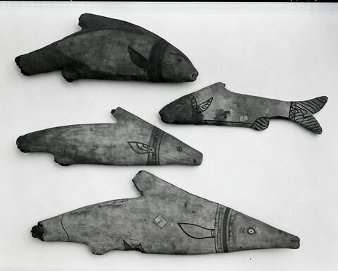 cercueil de poisson ; momie de poisson, image 3/3
