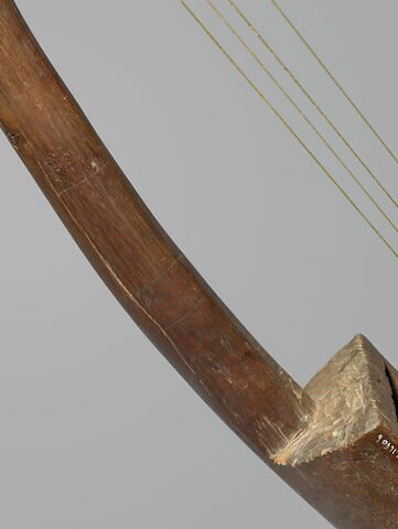 harpe arquée, image 3/10