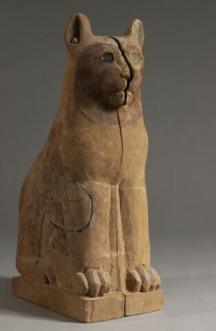 cercueil de chat