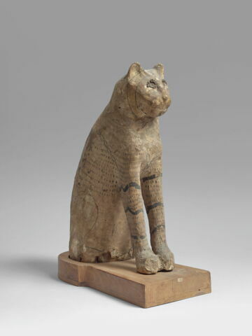 cercueil de chat ; momie de chat