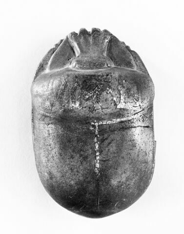 scarabée de cœur, image 5/6