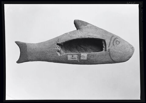 cercueil de poisson, image 7/7