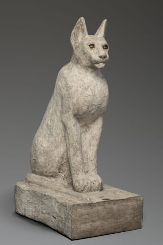 cercueil de chat