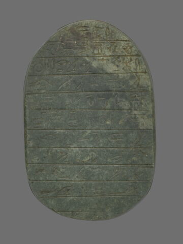 scarabée de cœur, image 3/8