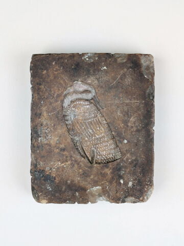 moule à figurine de cire