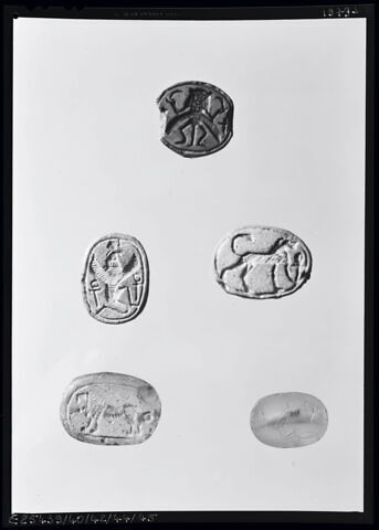 perle cauroïde à cordelette et butées, image 4/6