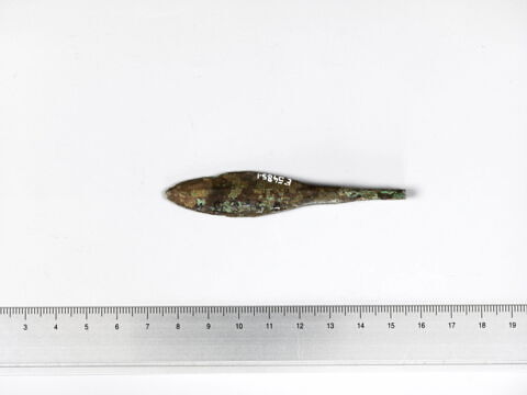 pointe de javelot, image 3/4