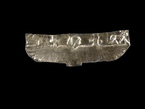 plaquette ; pectoral