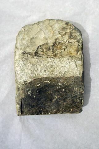stèle cintrée, image 2/2