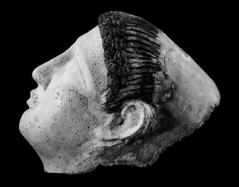 masque de momie, image 5/7