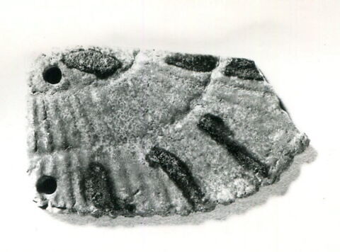 aile de scarabée funéraire