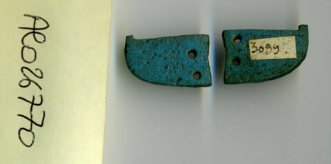 aile droite de scarabée funéraire ; aile gauche de scarabée funéraire